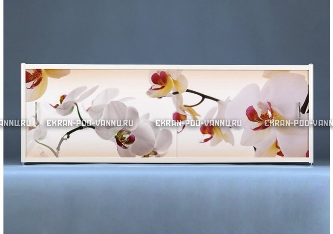 Раздвижной ФОТО экран - Orchid – купить по цене 8500 руб. в интернет-магазине в городе Пенза картинка 1