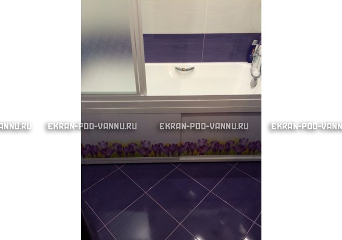 Экран на роликах EUROPLEX  Ирисы – купить по цене 12400 руб. в интернет-магазине в городе Пенза картинка 4