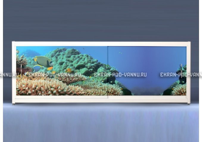 Экран на роликах EUROPLEX Коралловые рифы – купить по цене 12400 руб. в интернет-магазине в городе Пенза картинка 1